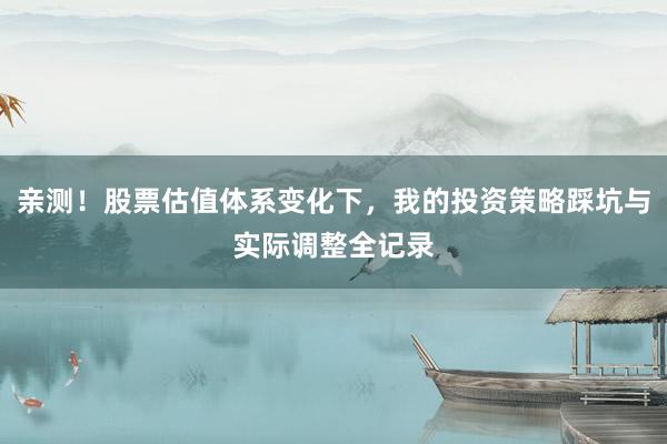 亲测!股票估值体系变化下,我的投资策略踩坑与实际调整全记录
